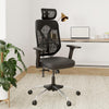 Heaven Shield Multi Adjustable Headrest Office Chair (Nylon, Black)