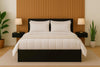 Heaven Shield Engineered Wood Bed in Ebony Black – Queen Size (L1985 x W1560 x H300 mm) | Platform Bed | Modern Wooden Bed for Bedroom, Durable & Stylish Design