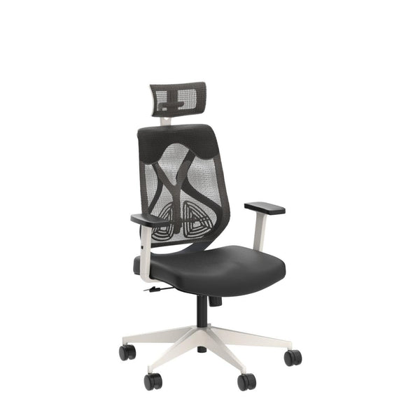 Heaven Shield Multi Adjustable Headrest Office Chair (Nylon, Black)