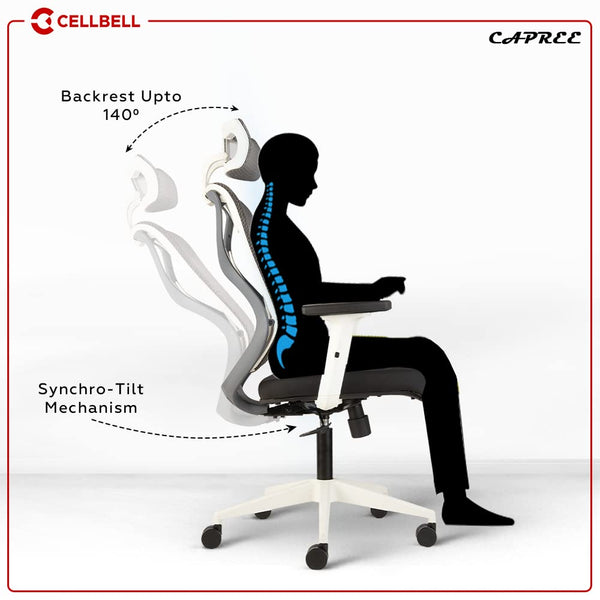 Heaven Shield Multi Adjustable Headrest Office Chair (Nylon, Black)