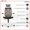 Heaven Shield Multi Adjustable Headrest Office Chair (Nylon, Black)