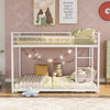 Heaven Shield ®™ | Meta Twin Bed for Junior/ Adults with Guard Rail, Noise Free Metal Bunk Bed(Finish Color - White, DIY(Do-It-Yourself))